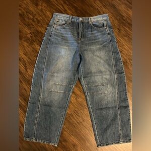 Sincerely Jules Barrel Jeans